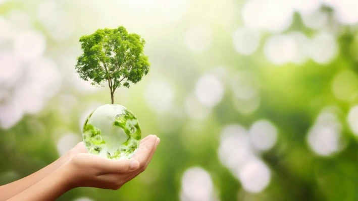Sustainability